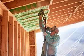 Best Commercial Insulation Services  in Omao, HI